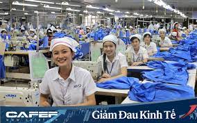 lĩnh vực hoạt động